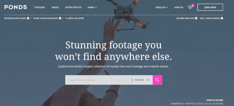 landing-page-pond-5-design-principles