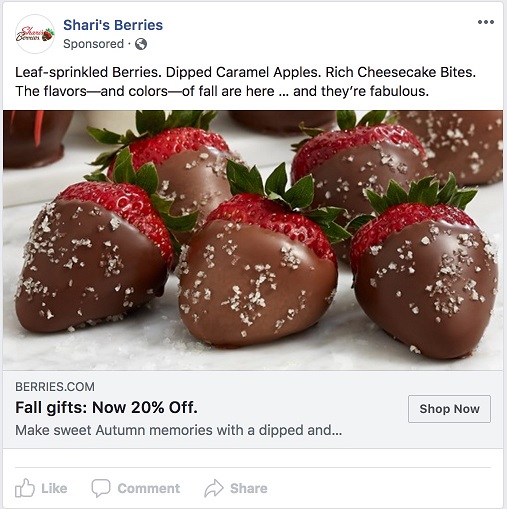 Facebook ad transparency ecommerce strategy Shari's Berries ad