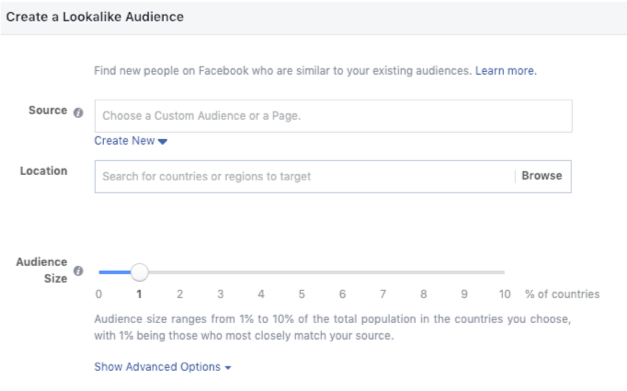 Facebook Lead Ads vs. Landing Pages Audience