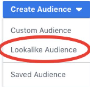 Facebook Lead Ads vs. Landing Pages