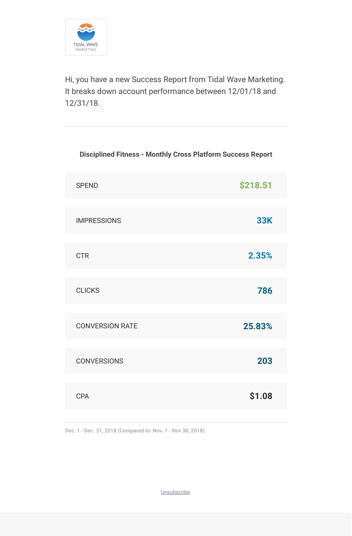success report delivery example