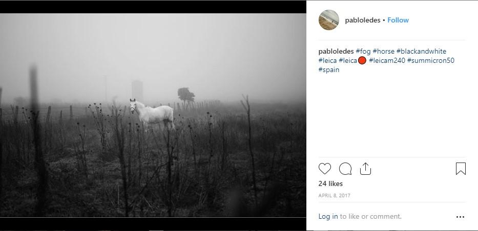 one of Pablo's pictures