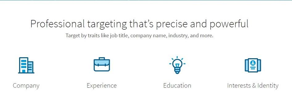LinkedIn advertising audience targeting options