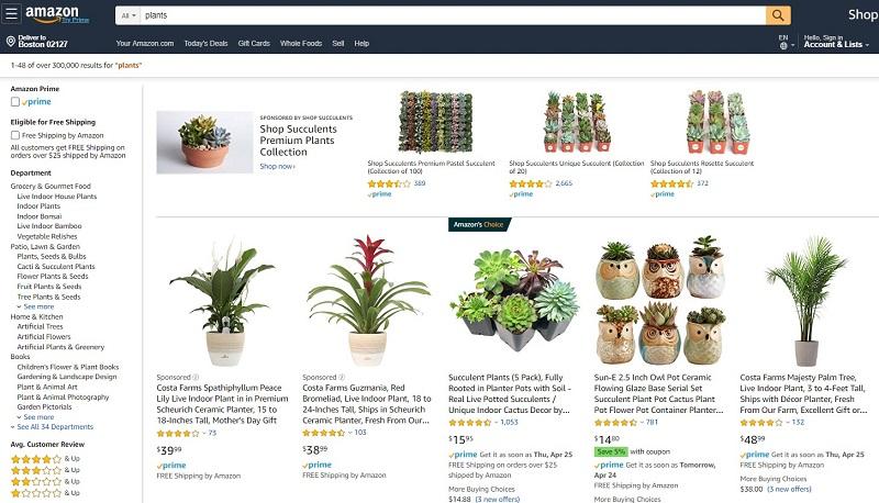 Sponsored Brands on Amazon example