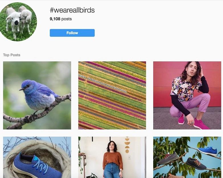 catchy brand hashtag example, allbirds