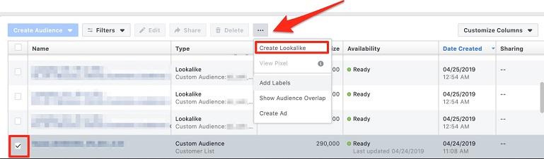 select "create a lookalike" screen