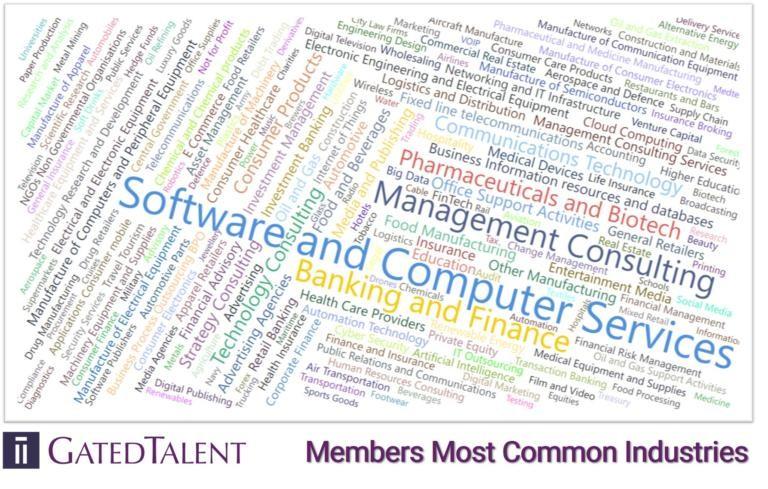 word cloud of common industries working with GatedTalent
