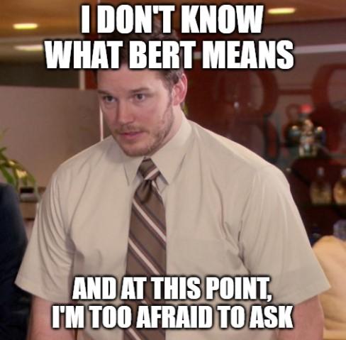 BERT meme