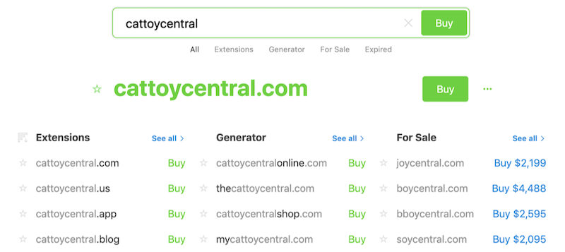 how to build an ecommerce website domain search