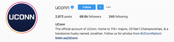 instagram bios uconn