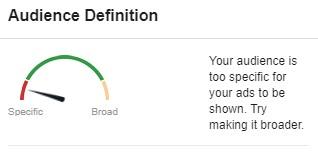 Facebook audience definition