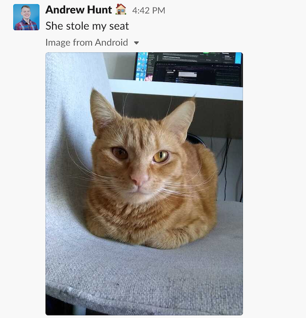 covid survey andrew hunt stole seat