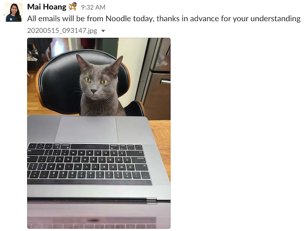 employee survey noodle