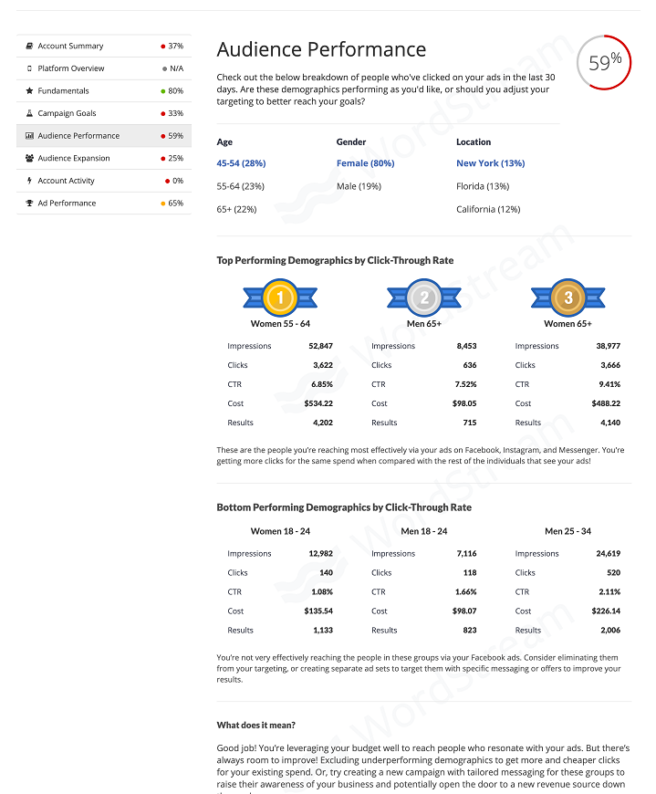WordStream's Facebook Grader: Audience Performance results