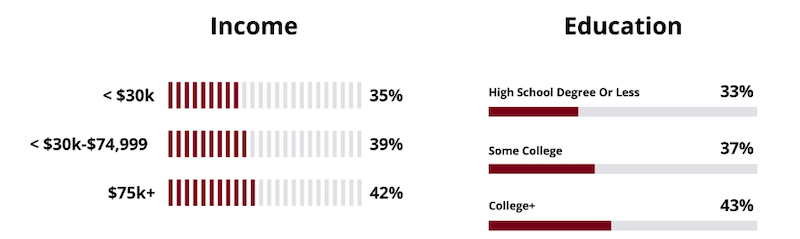instagram demographics income education