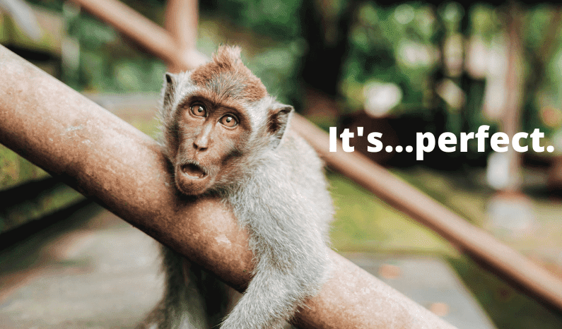 facebook a/b testing on a budget monkey in awe at the perfect ad