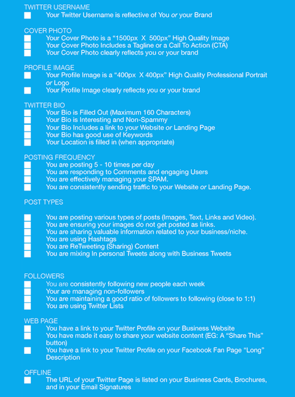 twitter audit checklist