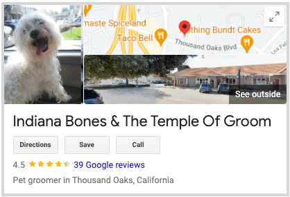 creative business name ideas: indiana bones and the temple of groom