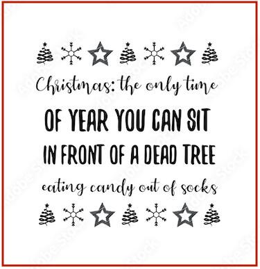 funny christmas instagram captions - the only time of year