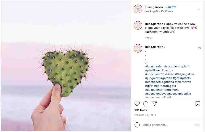 valentine's day instagram captions - heart shaped cactus