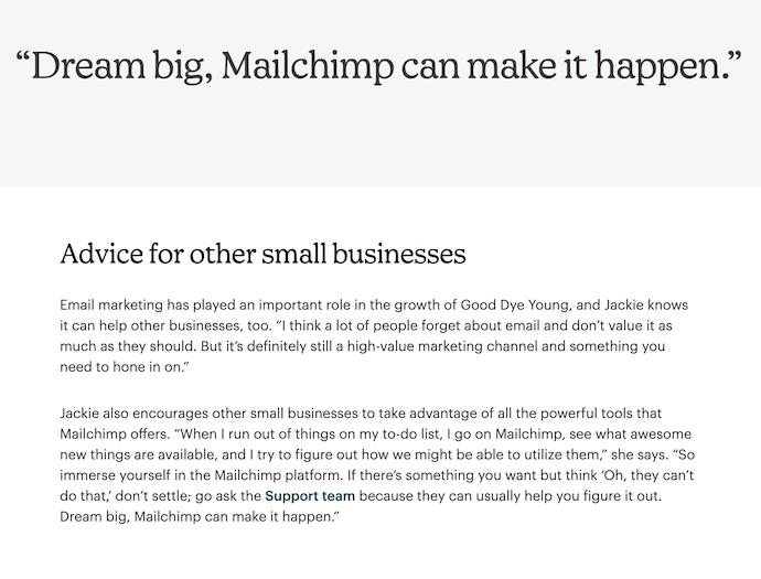 how to write a case study - mailchimp example with advice section