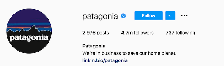 inspiring instagram business quotes - patagonia mission statement