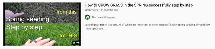 march marketing ideas - youtube tutorial on spring grass