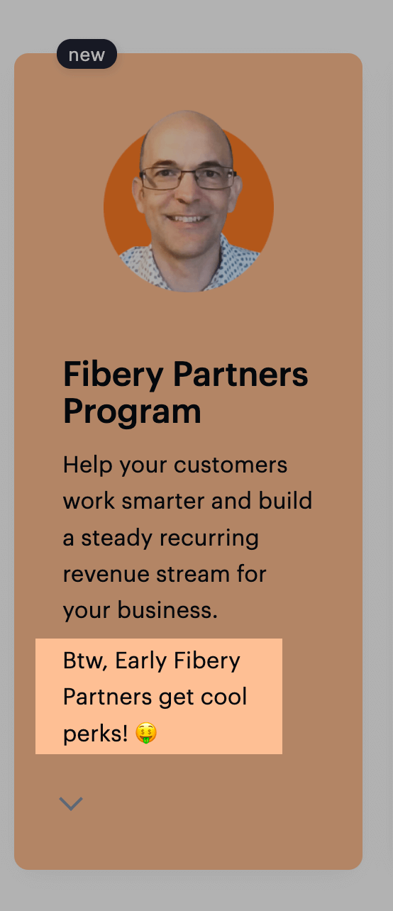 conversational tnoe examples - fibery's partners program description