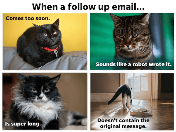 follow up email meme