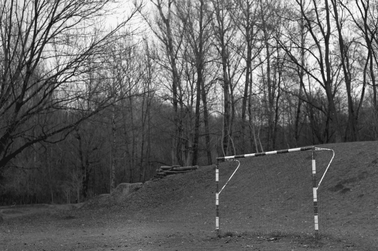 A soccer goal standing in a field in winter with bare trees around it.