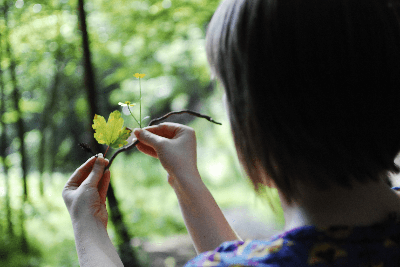 A woman holds up a scattering of twigs, leaves and wildflowers to see what she can make of them.