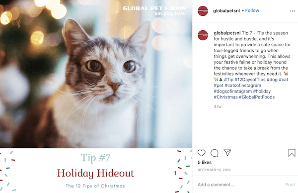 december marketing ideas: 12 days of tips