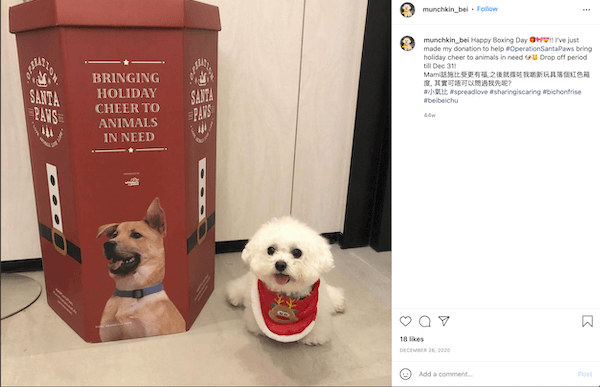 december marketing ideas: operation santa paws