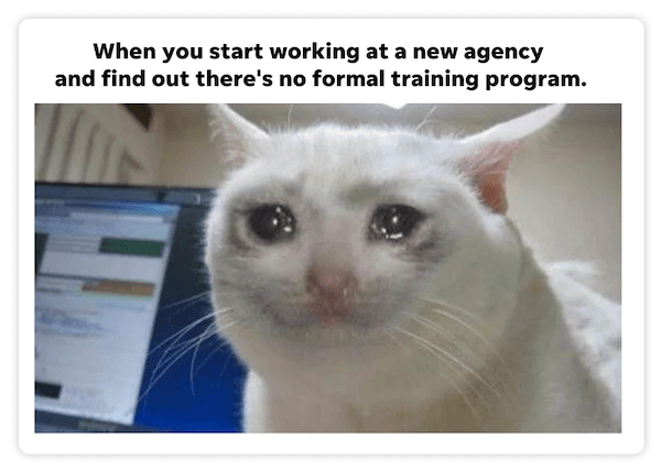 cat meme about training new hires