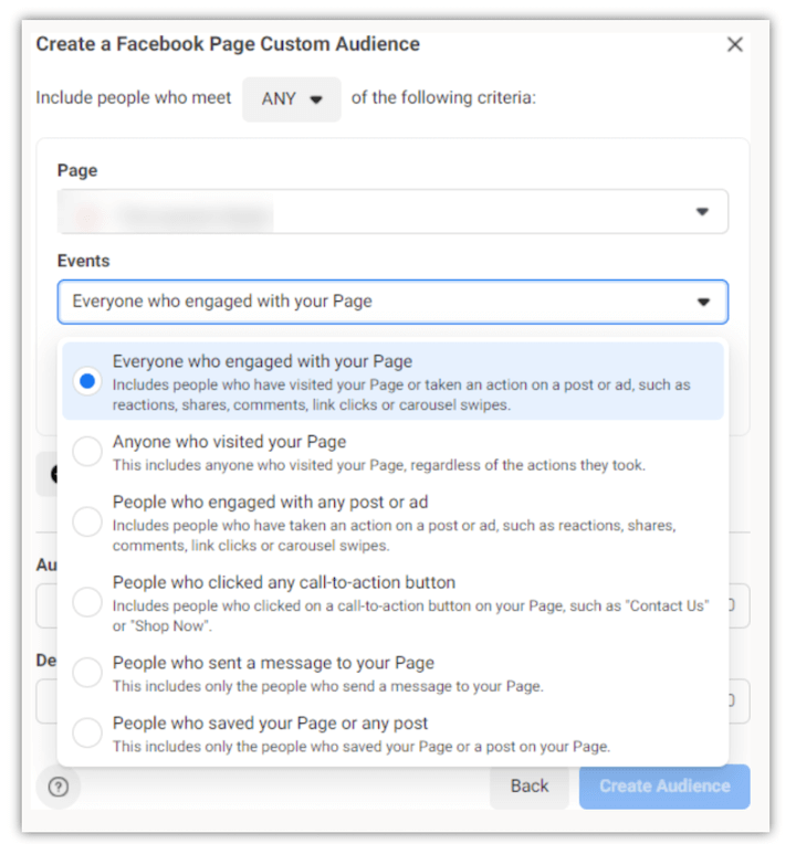 digital advertising - facebook page targeting