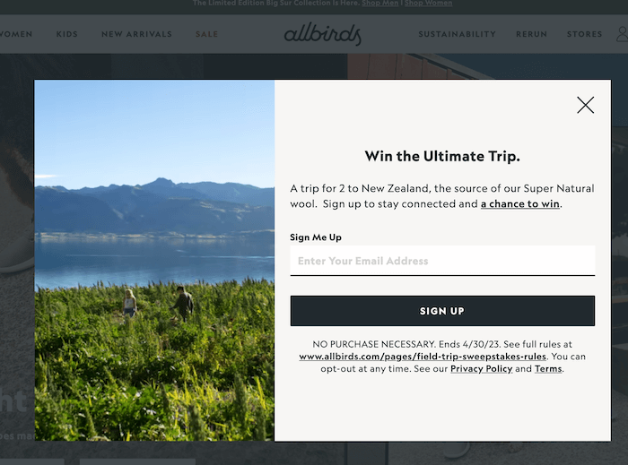 popup example by allbirds